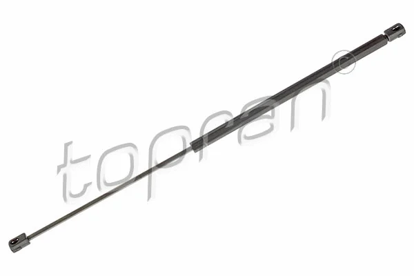 Gas Spring, boot/cargo area (304 167)