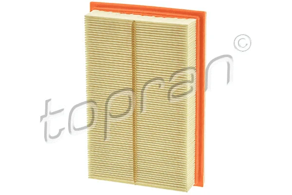Air Filter (723 653)