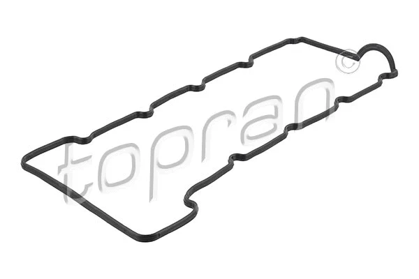 Gasket, cylinder head cover (820 252)