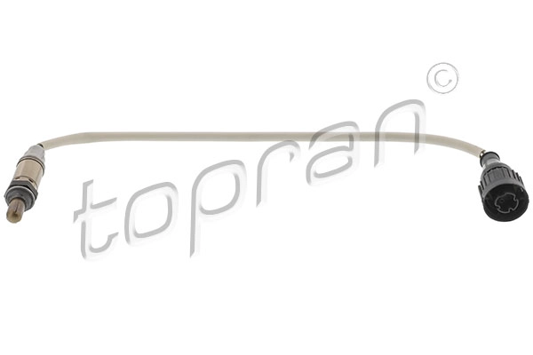 Lambda Sensor (500 463)