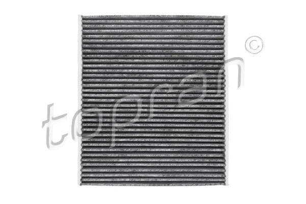 Filter, cabin air (117 999)