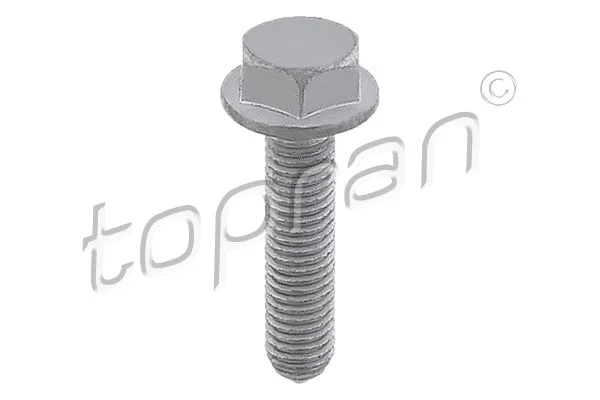 Screw (117 611)