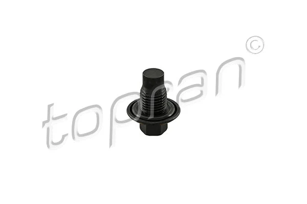 Screw Plug, oil sump (301 761)