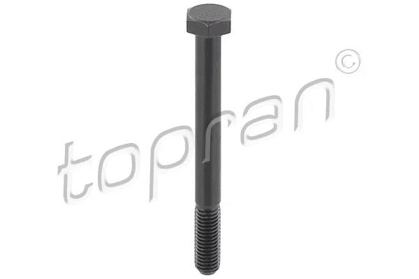 Screw (116 953)