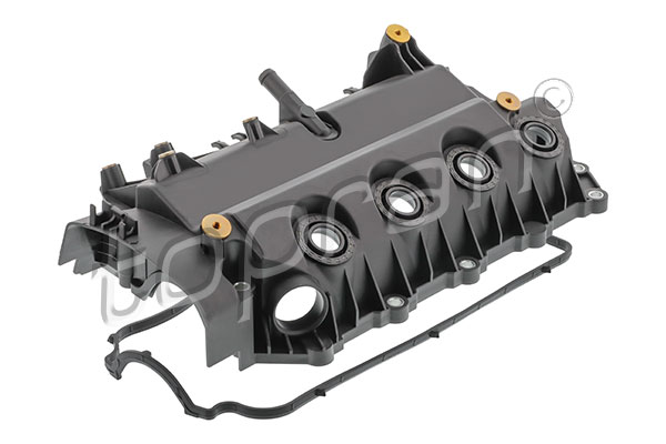 Cylinder Head Cover (702 269)