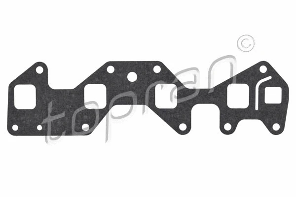 Gasket, intake manifold (201 689)