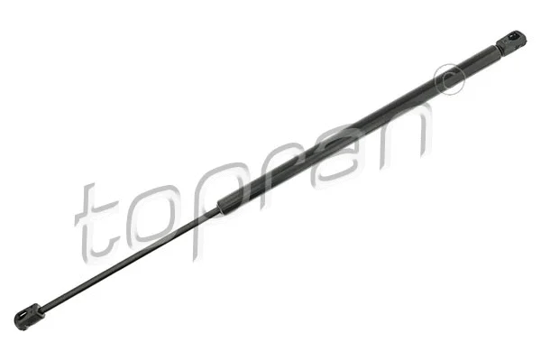 Gas Spring, boot/cargo area (206 974)