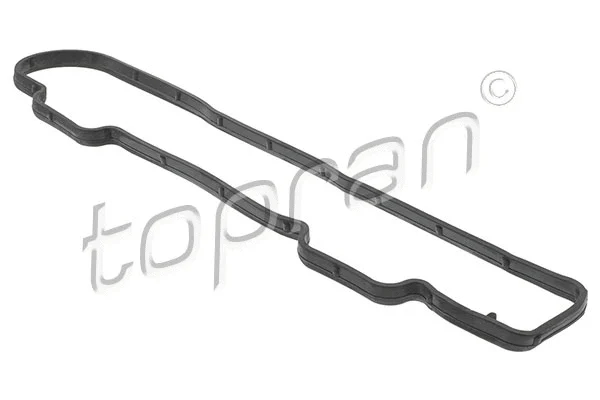 Gasket, cylinder head cover (722 443)