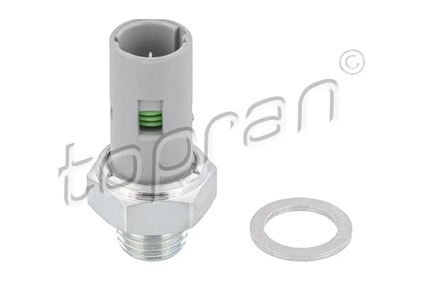 Oil Pressure Switch (207 065)