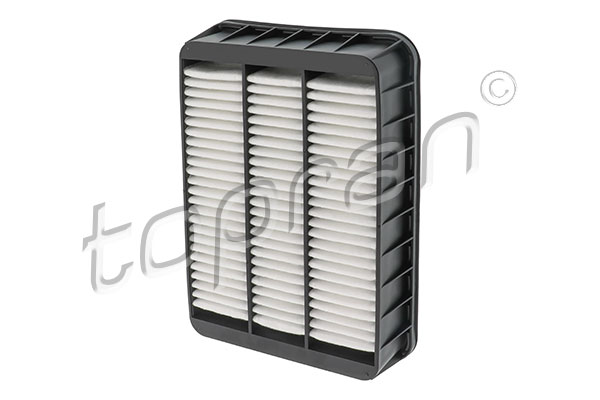 Air Filter (722 303)