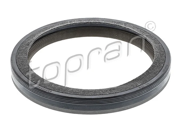 Shaft Seal, crankshaft (111 308)