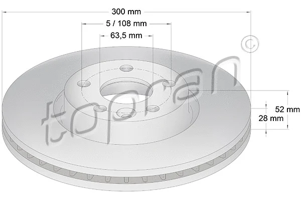 Brake Disc (303 976)