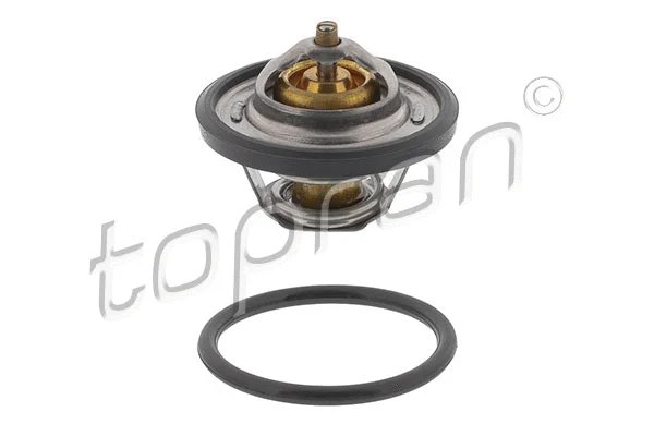 Thermostat, coolant (300 813)