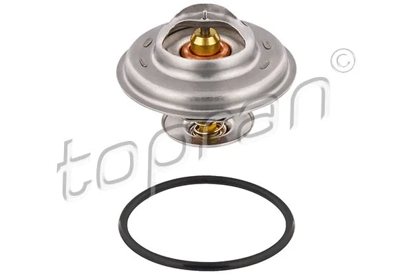 Thermostat, coolant (101 522)