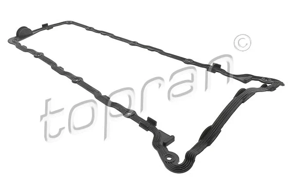 Gasket, cylinder head cover (100 096)