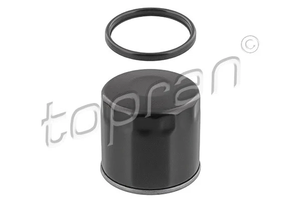 Oil Filter (625 369)
