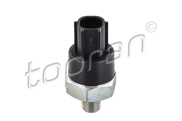 Oil Pressure Switch (207 820)