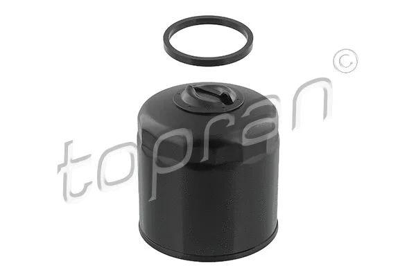 Oil Filter (101 519)