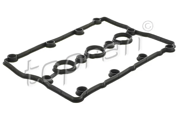 Gasket, cylinder head cover (111 926)