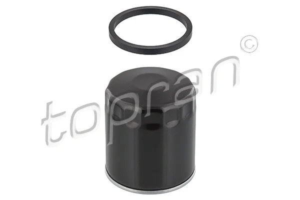 Oil Filter (208 808)