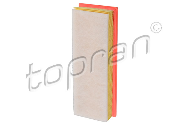 Air Filter (720 958)