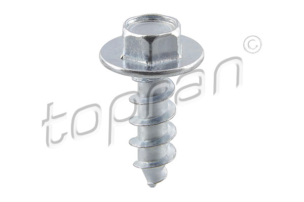 Screw (109 315)