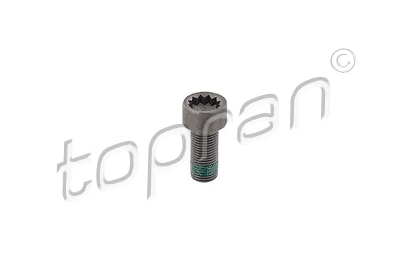 Flywheel Bolt (117 243)