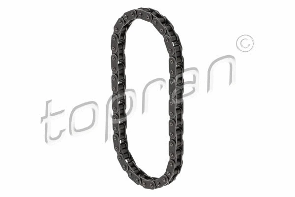 Chain, oil pump drive (723 849)