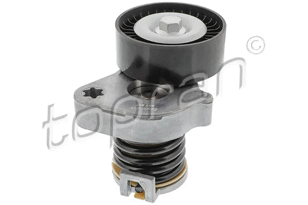 Belt Tensioner, V-ribbed belt (407 857)