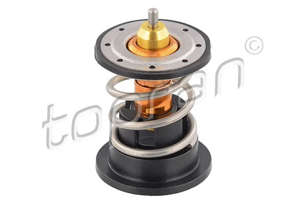 Thermostat, coolant (503 055)