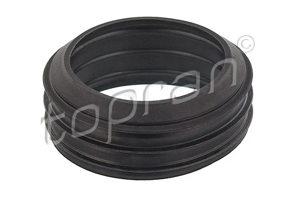 Gasket, intake manifold (112 963)