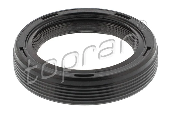 Shaft Seal, crankshaft (109 383)