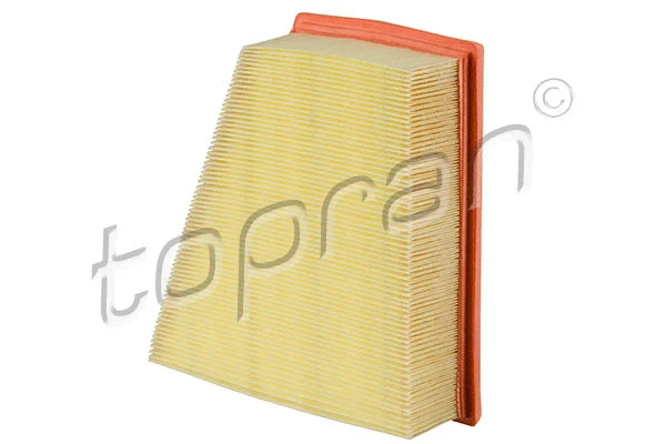 Air Filter (109 042)