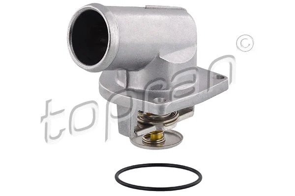 Thermostat, coolant (205 174)
