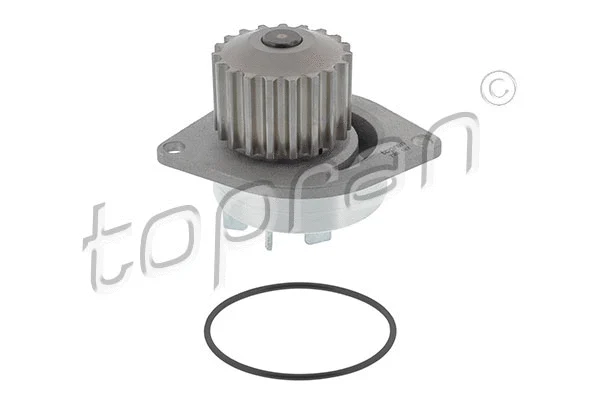 Water Pump, engine cooling (720 167)
