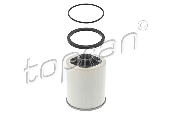 Fuel Filter (408 455)