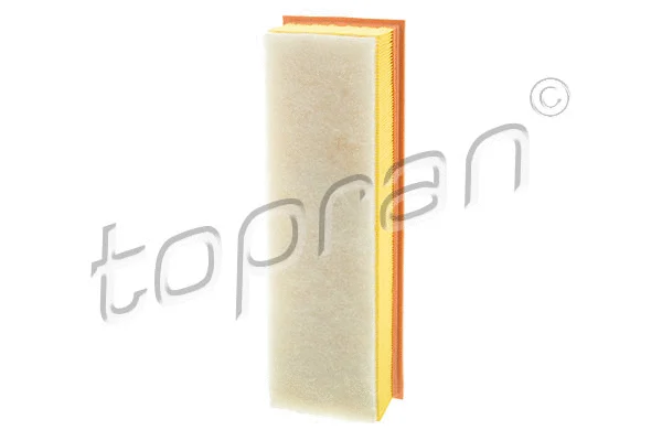Air Filter (502 784)