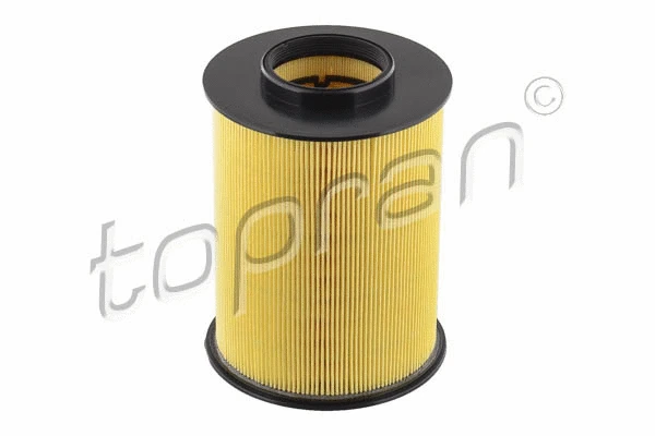 Air Filter (302 818)