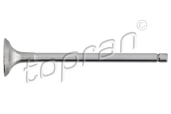Exhaust Valve (721 574)