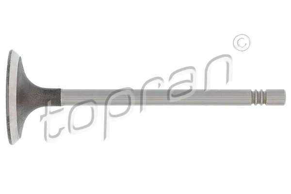 Intake Valve (110 195)