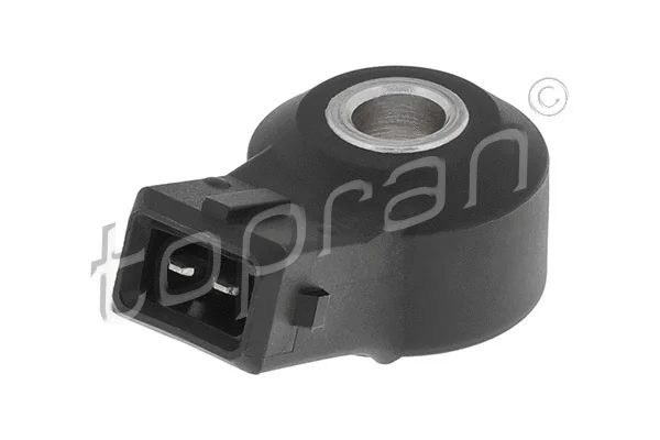 Knock Sensor (205 889)