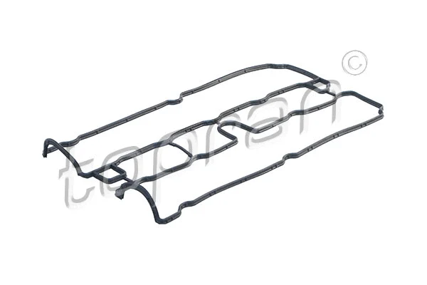 Gasket, cylinder head cover (206 131)