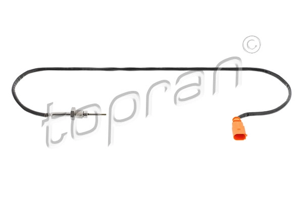Sensor, exhaust gas temperature (119 564)