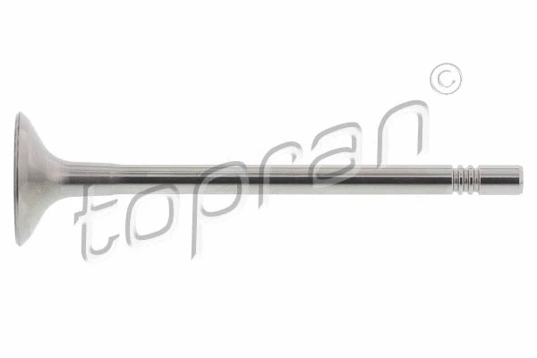 Intake Valve (116 858)