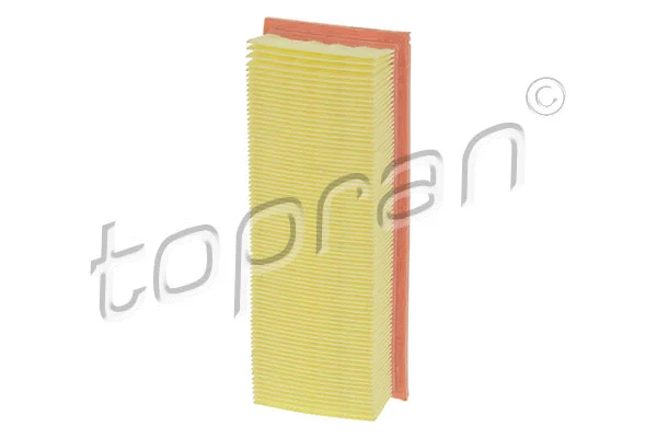Air Filter (600 043)
