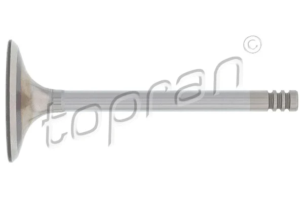 Intake Valve (101 599)