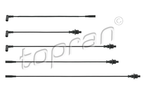 Ignition Cable Kit (721 500)