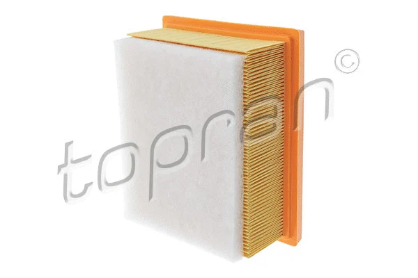Air Filter (721 005)