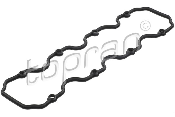Gasket, cylinder head cover (205 568)