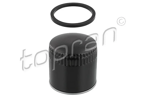 Oil Filter (300 474)
